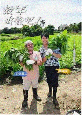 综艺档案卡封面,暖光棚内场景